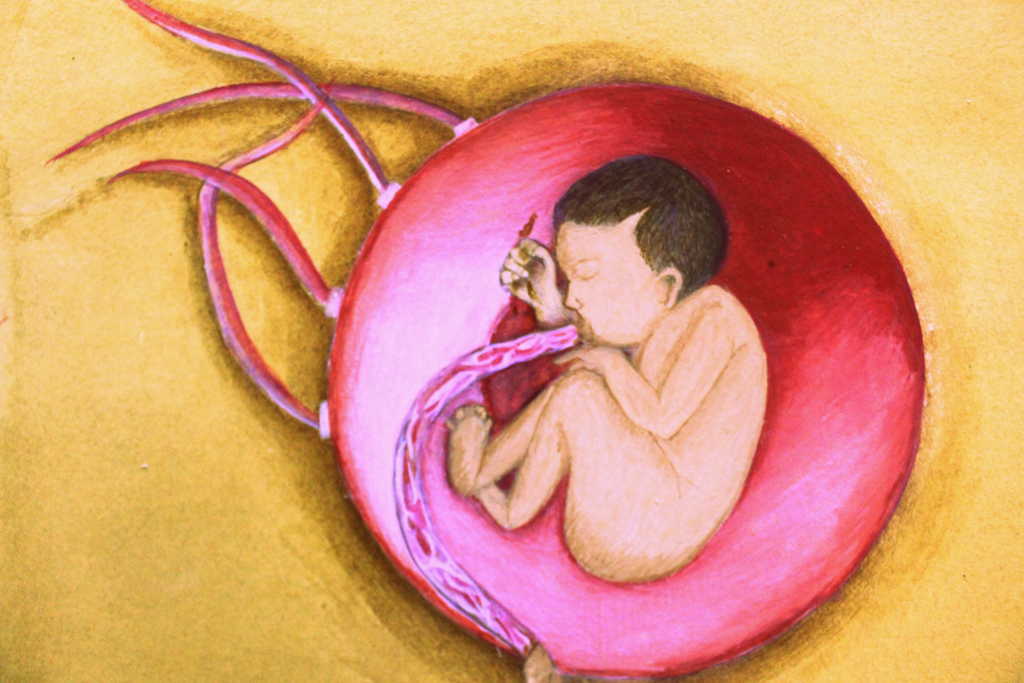 Details of Embryo